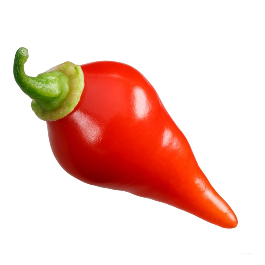gaston chilli (17)